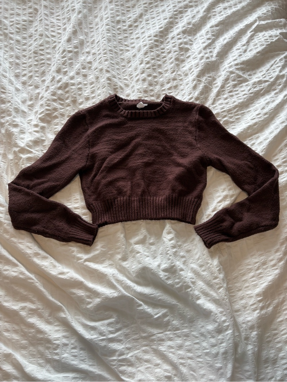 Garage Cropped Crewneck Sweater in Chocolate Brown